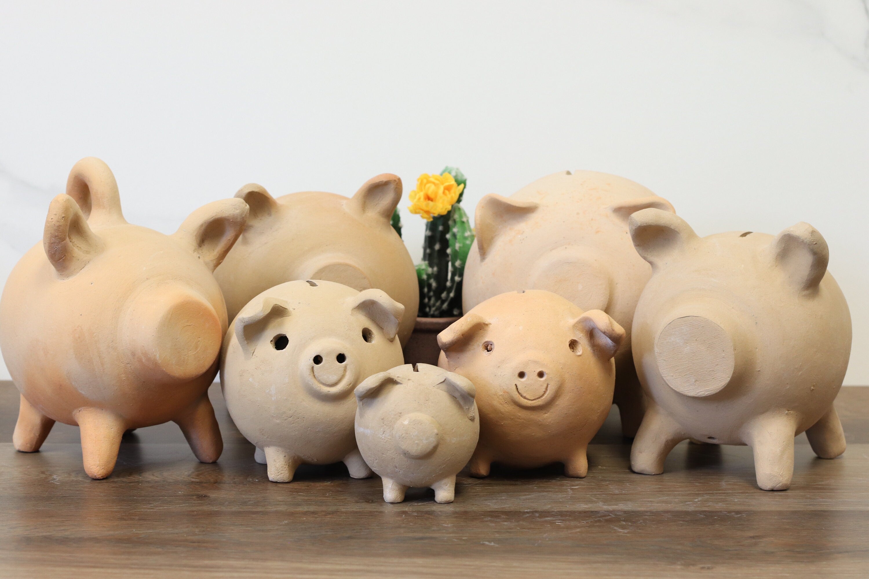 Smashable piggy clearance bank